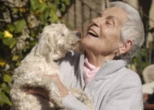 la pet therapy per gli anziani