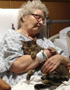 pet therapy per gli anziani