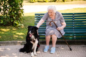 pet therapy anziani